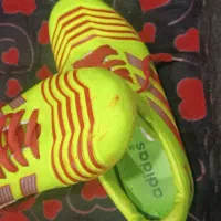 یه جفت کفش ورزشی  سالنی   دو   بار. پا  کردم