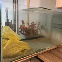 شیشه آکواریوم همراه با شن (یک متر- شیشه ۱۰ میل)