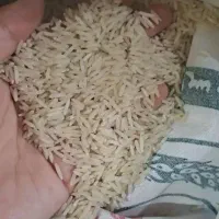 برنج هاشمی درجه یک خوش پخت با تخفیف به مدت محدود