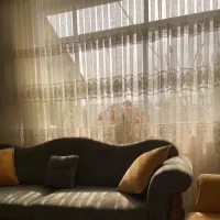 پرده پذیرایی|پرده، رانر، رومیزی|رشت, باهنر|دیوار