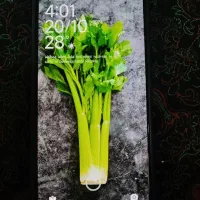 گوشی  Note13 4g