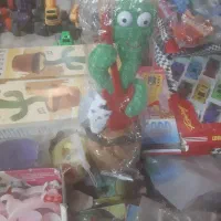 کاکتوس موزیکال