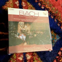 صفحه گرامافون ۳۳ دور ، سی دی اورجینال پینک فلوید|فیلم و موسیقی|شیراز, طلاب|دیوار