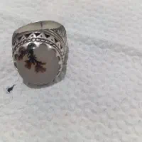 انگشتر شجر تک درخت مسافرر