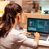 مهندس کامپیوتر کاربلد