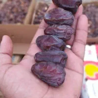 دانه درشت و تازه از نخلستان|خوردنی و آشامیدنی|شیراز, جوادیه|دیوار