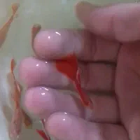 ماهی و گوپی مولی میگو سوارتیل زبرا کالر مزرعه آبی