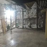 ۲۵تاکفترپریده
