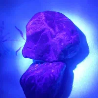 سنگ یاقوت به رنگ خرمایی|جواهرات|قائمشهر, |دیوار