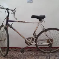 دوچرخه کورسی ۲۶ کولکسیونی