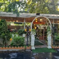 پارکبان حرفه ای