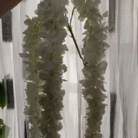 گل مصنوعی|گل مصنوعی|شیراز, گل سرخ|دیوار