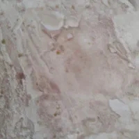 9.790طلا شکسته فروشی مناسب برای سرمایه گذاری