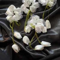 اکسسوری مو واسکرانچی و گلسر|زیورآلات و اکسسوری|بناب, |دیوار