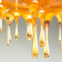 زالو درمانی.حجامت.بادکش(در محل)تولید عسل طبیعی