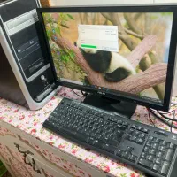 کیس و مانیتور