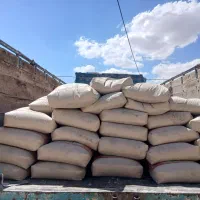 سیمان شاهرود تیپ ۲