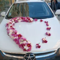 ماشین عروس|گل و گیاه طبیعی|اسلام‌شهر, شهرک الهیه|دیوار