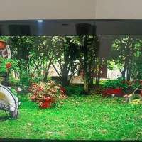 تلویزیون سامسونگ