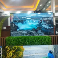 تلویزیون|تلویزیون و پروژکتور|ارومیه, |دیوار