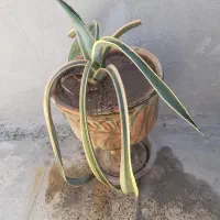 حراج با قیمت پیشنهادی  شما