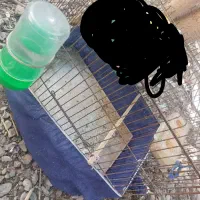 قفس مرغ عشق و فنچ|لوازم جانبی حیوانات|ایرانشهر, |دیوار