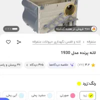 طوطی|پرنده|میانه, |دیوار