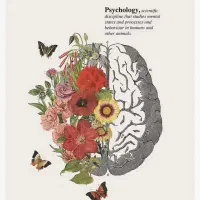 مشاوره فردی و خانواده