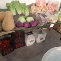 فروش پالت میوه فروشی|فروشگاه و مغازه|پردیس, فاز ۱۱|دیوار