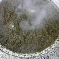 سبزی خورشتی تازه