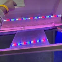 اکواریوم ۱۰۰+۳۰+۸۰|ماهی|بندر ماهشهر, |دیوار