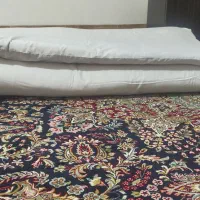 ۴ عدد رختخواب یک و نیم نفره