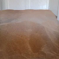 گندم ابی درجه ۱ پاک