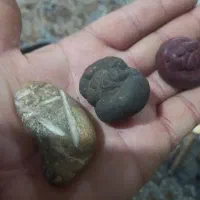 عرج|کلکسیون اشیاء عتیقه|زاهدان, |دیوار