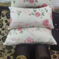 بالشت