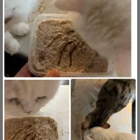 غذای خونگی خوشمزه و مقوی گربه و سگ|لوازم جانبی حیوانات|مشهد, شریف|دیوار