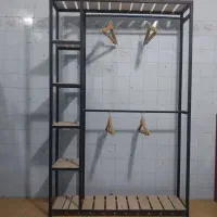 رگال بغل طبقه