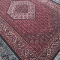 یک تخته فرش ۶ متری زنجان|فرش|زنجان, |دیوار