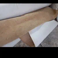 پالاز|موکت|رامهرمز, |دیوار