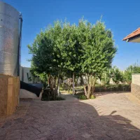 باغ 605 متری معاوضه|فروش خانه و ویلا|گلمکان, |دیوار