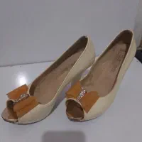کفش مجلسی