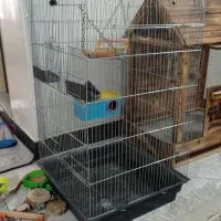 قفس زیبا|لوازم جانبی حیوانات|تهران, مشیریه|دیوار