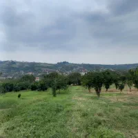 زمین باغی با ویو عالی|فروش دفتر صنعتی، کشاورزی، تجاری|قائمشهر, |دیوار