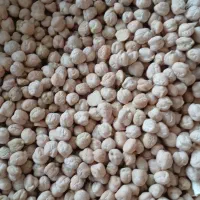 نخود درجه یک الیگودرز