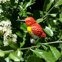 مجسمه جغد مرغ ماهی خوار مرغ آمین خرگوش اسب نمادسال|مجسمه، تندیس، ماکت|تهران, بازار|دیوار