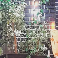 استادکاربنایی