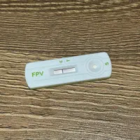 گربه عروسکی|گربه|قم, سعادتی|دیوار