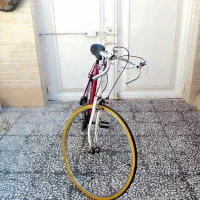 دوچرخه‌کورسی‌اصل|دوچرخه، اسکیت، اسکوتر|کاشان, قطب راوندی|دیوار