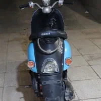 پاکشتی وحشی