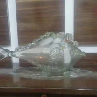 تنگ ماهی بزرگ درحد نو